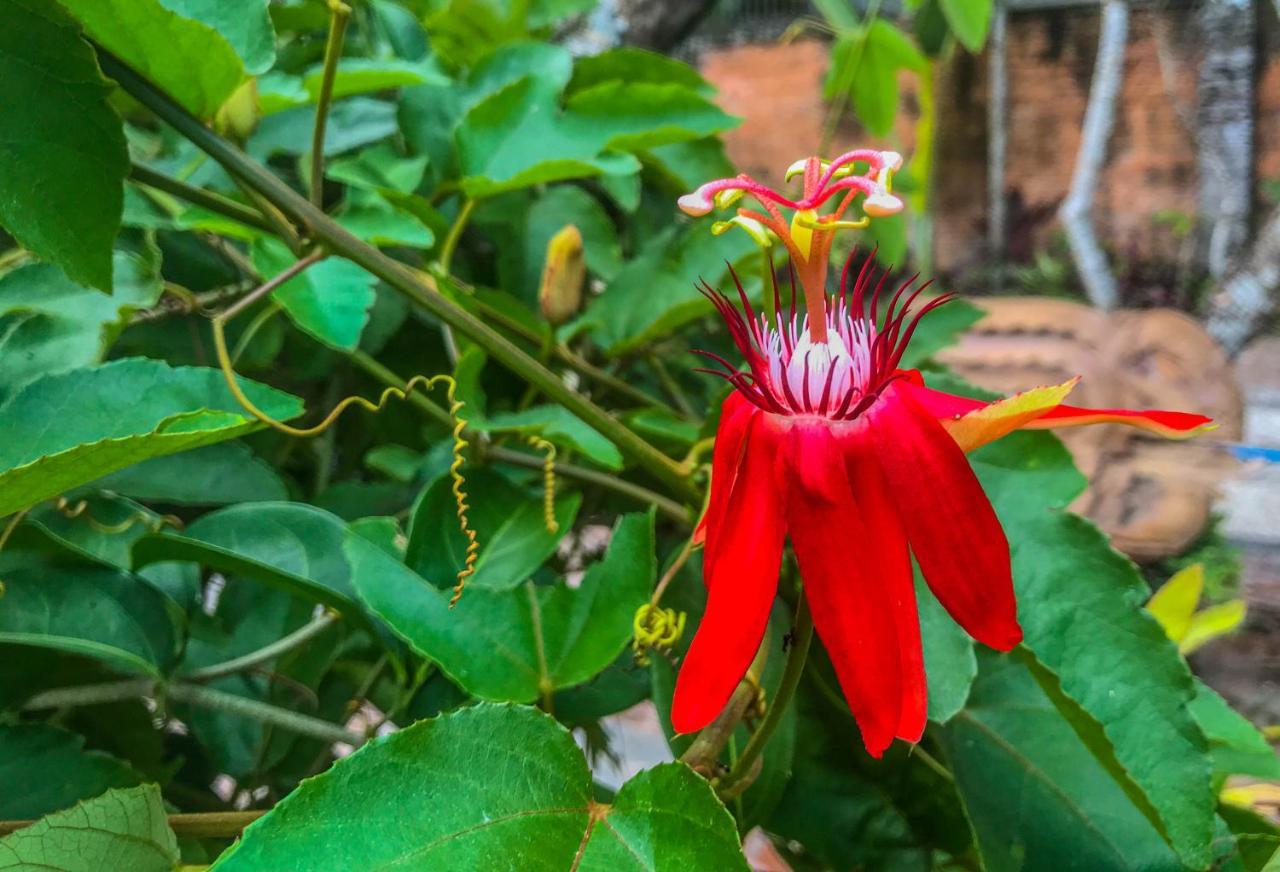 Hotel Stanley Lombok Mataram Zewnętrze zdjęcie